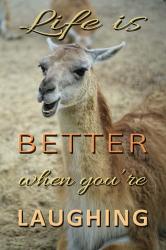Life Is Better Laughing | Obraz na stenu