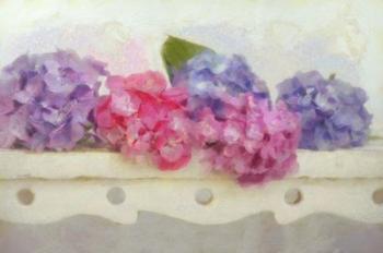 Blue and Pink Hydrangea flowers on a Bench | Obraz na stenu