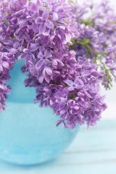 Lilacs in Blue Vase IV | Obraz na stenu