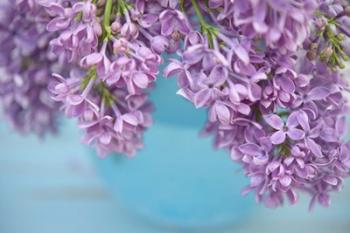 Lilacs in Blue Vase V | Obraz na stenu