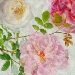 Peonies and Roses I | Obraz na stenu