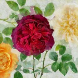 Peonies and Roses II | Obraz na stenu
