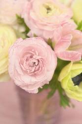 Pink and Lime Spring Bouquet II | Obraz na stenu