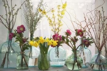 Spring Flowers in Glass Bottles I | Obraz na stenu