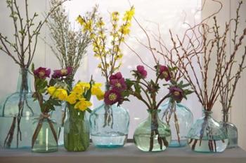 Spring Flowers in Glass Bottles IV | Obraz na stenu