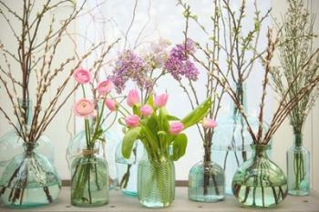 Spring Flowers in Glass Bottles VI | Obraz na stenu