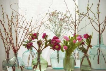 Spring Flowers in Glass Bottles VII | Obraz na stenu