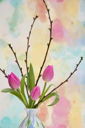 Tulips and Aquarel II | Obraz na stenu