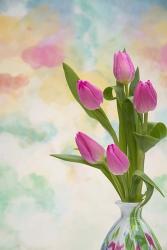 Tulips and Aquarel | Obraz na stenu