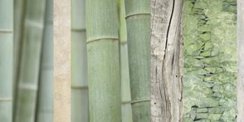Green Bamboo Collage | Obraz na stenu