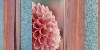 Salmon-pink Dahlia Collage | Obraz na stenu