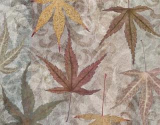 Autumn Leaves Maple | Obraz na stenu