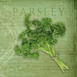 Classic Herbs Parsley | Obraz na stenu