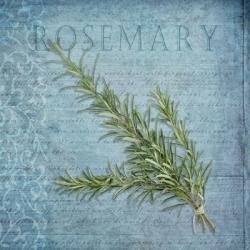 Classic Herbs Rosemary | Obraz na stenu