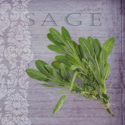 Classic Herbs Sage | Obraz na stenu