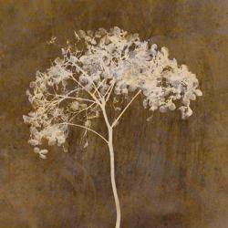 Hortensia Silhouette Bronze | Obraz na stenu