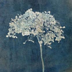 Hortensia Silhouette Sapphire | Obraz na stenu