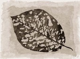 Sepia Leaf | Obraz na stenu