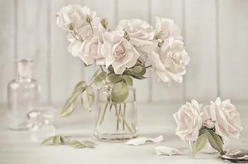 Vintage Roses in Antique Glass | Obraz na stenu