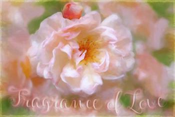 Fragrance Of Love | Obraz na stenu