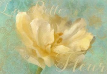 La Belle Fleur I | Obraz na stenu