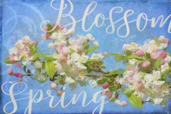 Spring Blossom | Obraz na stenu