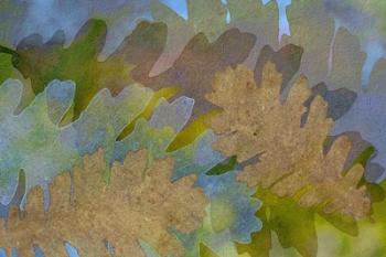 Fallen Leaves Green Golden | Obraz na stenu