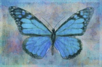 Blue Butterfly Watercolor | Obraz na stenu