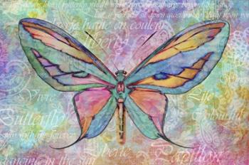 Colorful Butterfly | Obraz na stenu