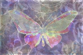 Purple Pink Butterfly Watercolor | Obraz na stenu