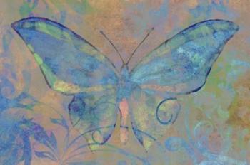 Turquoise Butterfly | Obraz na stenu
