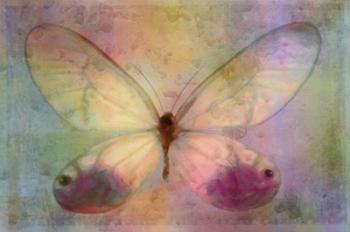 Yellow Butterfly Watercolor | Obraz na stenu