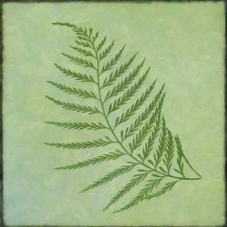 Fern Series Vintage I | Obraz na stenu