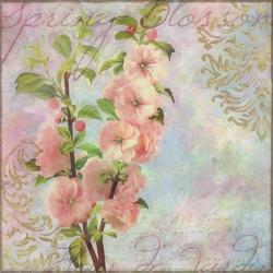 Blossom | Obraz na stenu