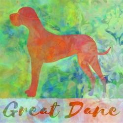 Great Dane Dog | Obraz na stenu