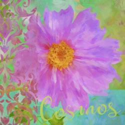 Colors Of Flowers I - Cosmos | Obraz na stenu