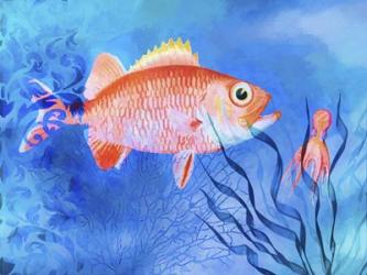 Red Fish Sea Life | Obraz na stenu