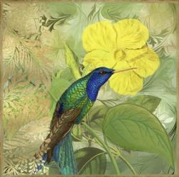 Hummingbird Green Blue | Obraz na stenu