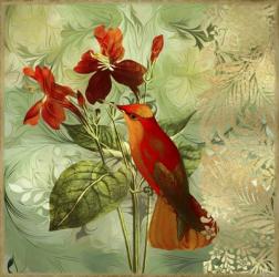 Hummingbird Red | Obraz na stenu