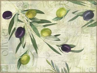 Olives de Nice | Obraz na stenu