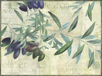 Olives de Nyons | Obraz na stenu