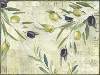 Olives de Provence | Obraz na stenu