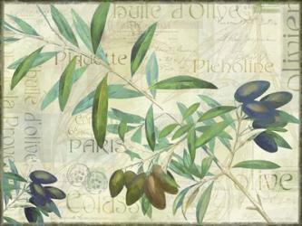 Olives Picholines | Obraz na stenu