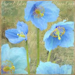 Blue Poppies | Obraz na stenu