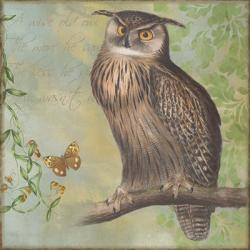 Eagle-Owl | Obraz na stenu