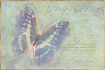 Papillon Butterfly Morpho cypris | Obraz na stenu