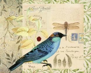 Post Card Birds I | Obraz na stenu