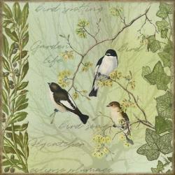 Tree Birds II Flycatchers | Obraz na stenu