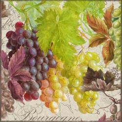 Vintage Fruits II Grapes | Obraz na stenu