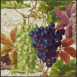 Vintage Fruits III Grapes | Obraz na stenu